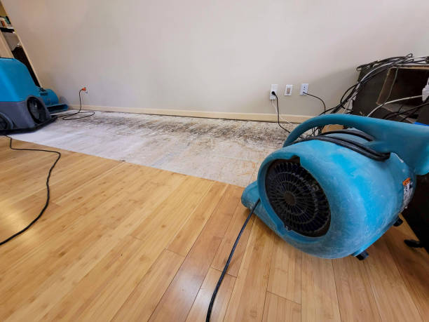 Professional Emergency Water Damage technician working in Chatham, MA